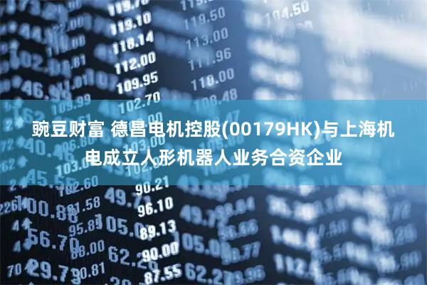 豌豆财富 德昌电机控股(00179HK)与上海机电成立人形机器人业务合资企业