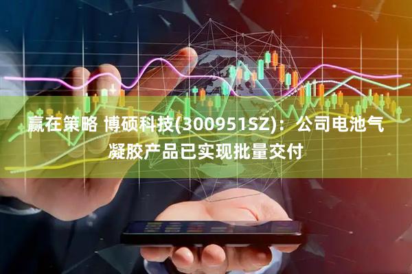 赢在策略 博硕科技(300951SZ)：公司电池气凝胶产品已实现批量交付