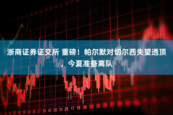 浙商证券证交所 重磅！帕尔默对切尔西失望透顶，今夏准备离队