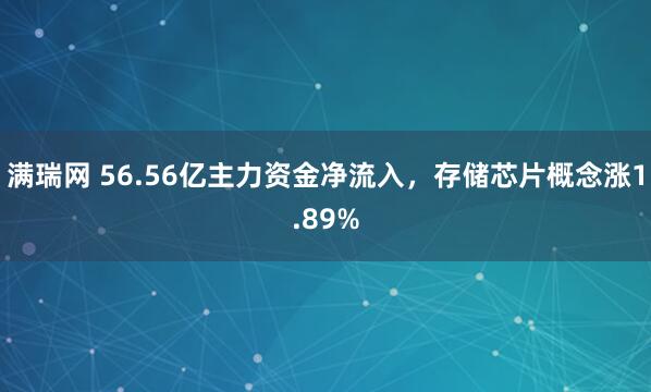 满瑞网 56.56亿主力资金净流入，存储芯片概念涨1.89%